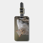 Cursief eekhoorn bagagelabel (Voorkant verticaal)