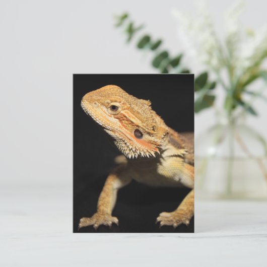 Cursief gebogen draak 3 briefkaart (Staand voorkant)