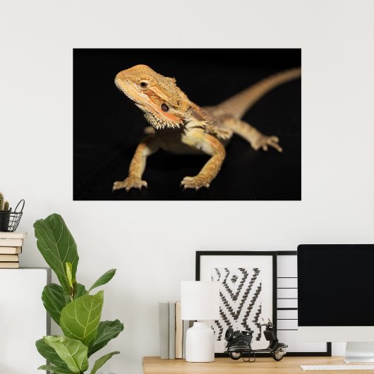 Cursief gebogen draak 3 poster (Thuiskantoor)