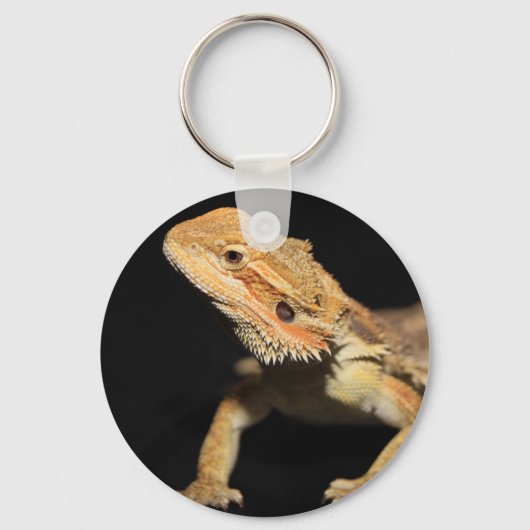 Cursief gebogen draak 3 sleutelhanger (Voorkant)