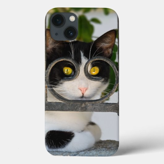 Cursief kat met bril Lijst een grappige foto - Case-Mate iPhone Case (Achterkant)
