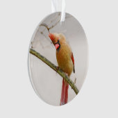 Cursief Vrouw kardinaal versierend Ornament (voorkant)