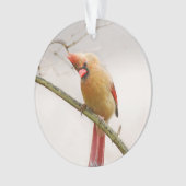 Cursief Vrouw kardinaal versierend Ornament (voorkant)