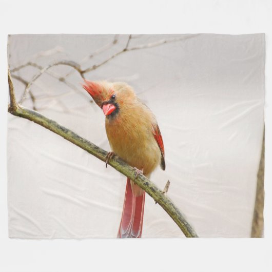 Cursief Vrouw Kardinaal vluchtstrook Fleece Deken (Voorkant (Horizontaal))