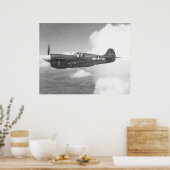 Cursussen P-40E Poster (Keuken)