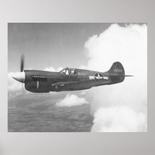 Cursussen P-40E Poster (Voorkant)