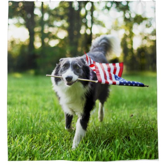 Curtain Border Collie Patriotic Dog Shower Douchegordijn (Voorkant)