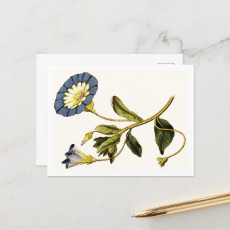 Curtis Botanische illustraties Briefkaart
