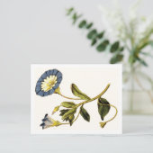 Curtis Botanische illustraties Briefkaart (Staand voorkant)