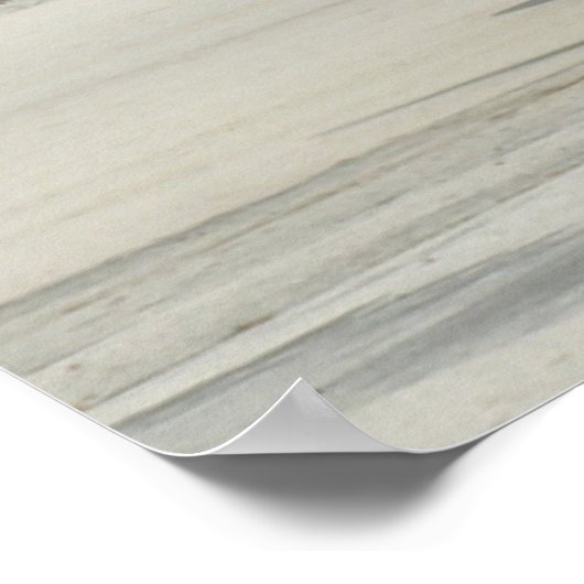 Curtis P40 Poster (Hoek)