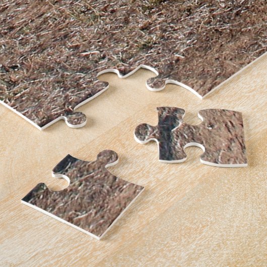 Curtiss Jenny Biplane Vliegtuig Legpuzzel (Zijkant)