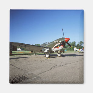 Curtiss P-40 Warhawk, bij Minnesota CAF Air Show Magneet
