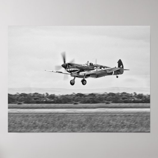 Curtiss P-40 Warhawk Fighter Air Plane Poster (Voorkant)