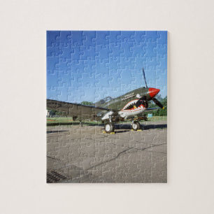 Curtiss P-40 Warhawk, op Minnesota CAF Air Show Legpuzzel