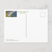 "CURVED BLACK SAND BEACH ONDERAAN WAIPI O VALLEY K BRIEFKAART (Achterkant)