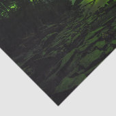 Curving Aurora Tissuepapier (Detail)