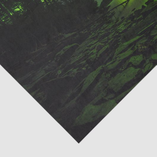 Curving Aurora Tissuepapier (Detail)