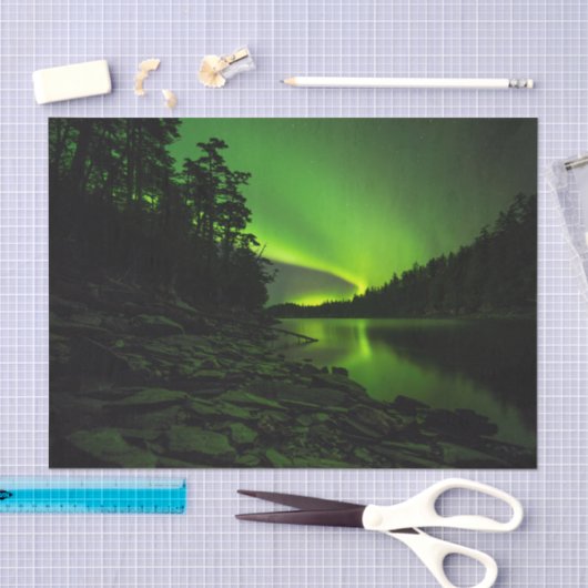 Curving Aurora Tissuepapier (Craft)