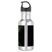 Curving Aurora Waterfles (Achterkant)