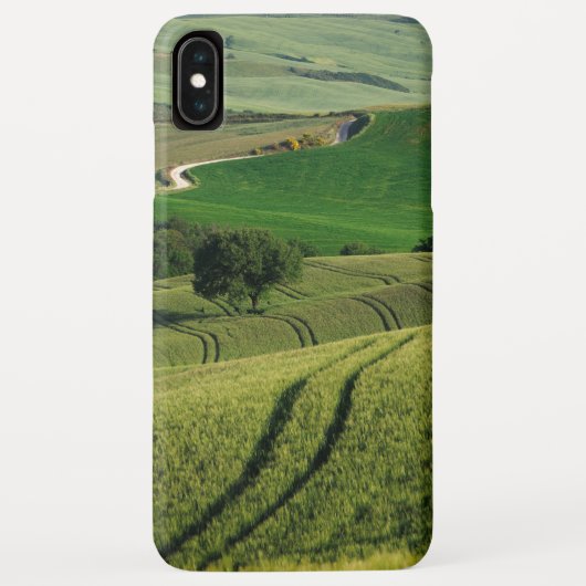 Curvy-lijnen in de groene Toscane iPhone-case Case-Mate iPhone Case (Achterkant)