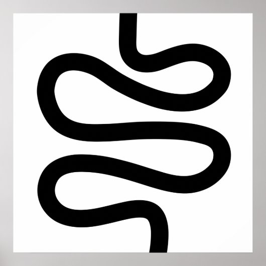 Curvy Line - Zwart op wit Poster (Voorkant)