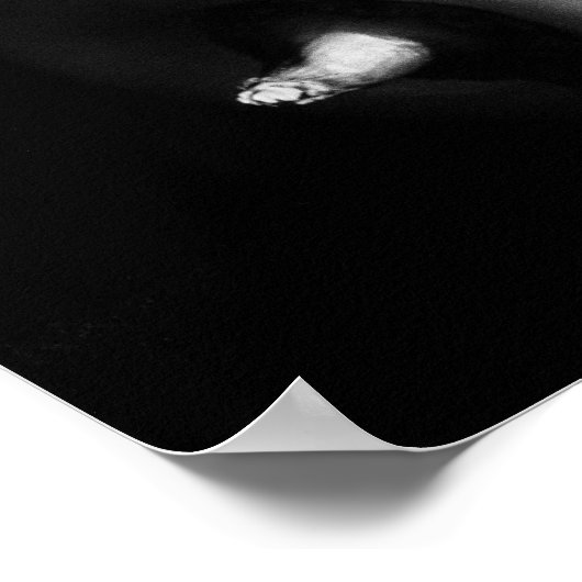 Curvy Pepper sluit Zwarte en Witte Fotografie op Poster (Hoek)