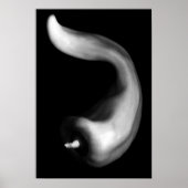 Curvy Pepper sluit Zwarte en Witte Fotografie op Poster (Voorkant)