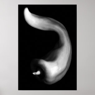 Curvy Pepper sluit Zwarte en Witte Fotografie op Poster