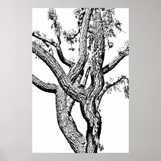 Curvy Tree in zwart-wit Poster kunst (Voorkant)