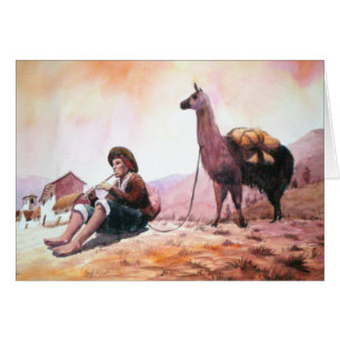 Cusco Peru Llama Afbeelding