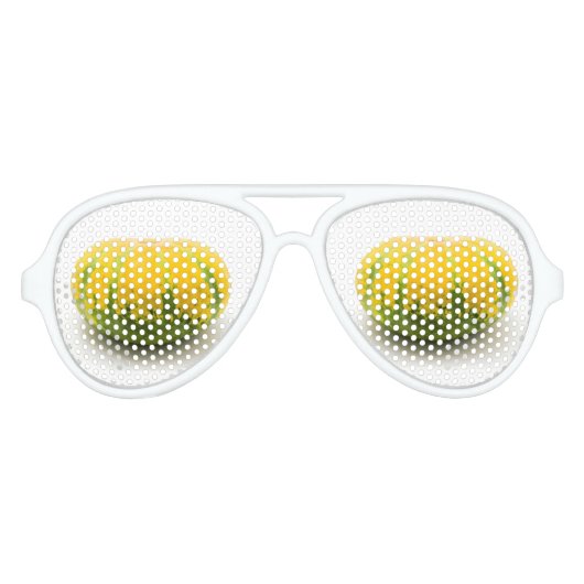 Cushaw squash aviator zonnebril (Voorkant)