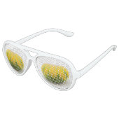 Cushaw squash aviator zonnebril (Gekanteld)