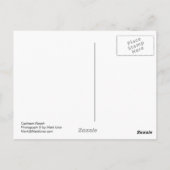 Cushman Ranch Briefkaart (Achterkant)