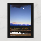 Cushman Ranch Briefkaart (Voorkant)