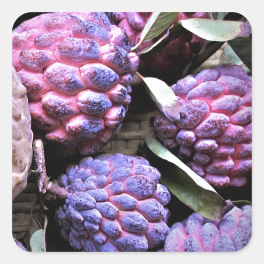 Custard Apple Cherimoya Vierkante Sticker (Voorkant)