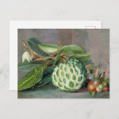 Custard Apple - Marianne North Briefkaart (Voorkant / Achterkant)
