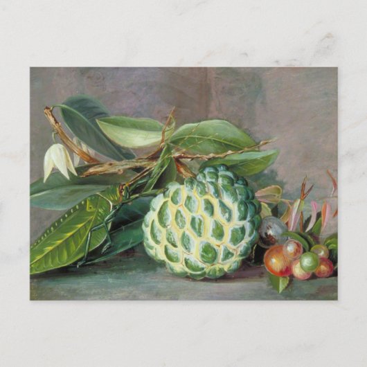 Custard Apple - Marianne North Briefkaart (Voorkant)