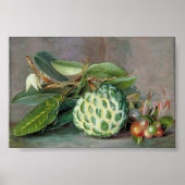 Custard Apple - Marianne North Poster (Voorkant)