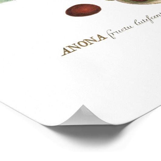 Custardappel Poster (Hoek)