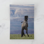 Custer en Galaxy - Wenskaart van wilde paarden Kaart (Binnen)