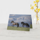 Custer en Galaxy - Wenskaart van wilde paarden Kaart (Gele Bloem)