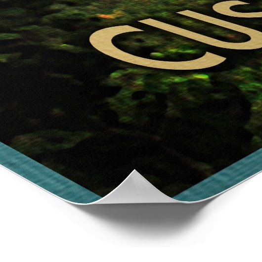 Custer State Park Poster (Hoek)