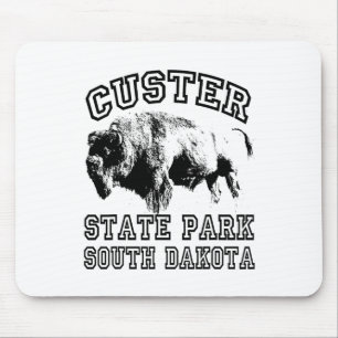 Custer State Park South Dakota Bizons Natuur Wande Muismat