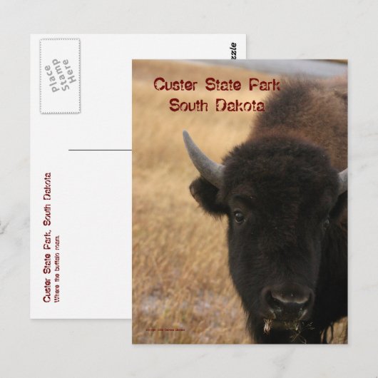 Custer State Park, South Dakota Briefkaart (Voorkant / Achterkant)