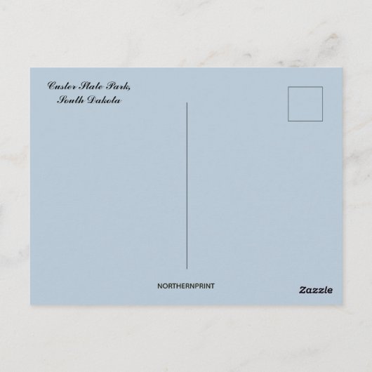 Custer State Park South Dakota Briefkaart (Achterkant)