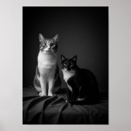 Custom 4K Black & White Pet Portrait Poster 