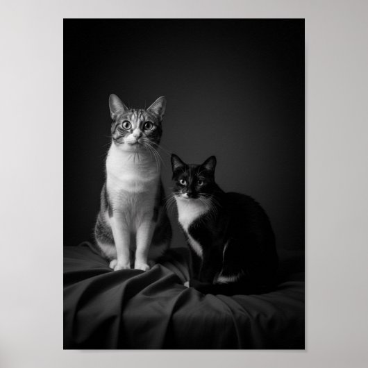 Custom 4K Black & White Pet Portrait Poster  (Voorkant)