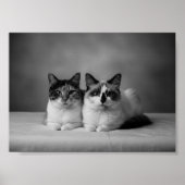 Custom 4K Black & White Pet Portrait Poster – Prof (Voorkant)