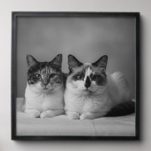 Custom 4K Black & White Pet Prof Peel and Stick