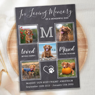 Custom 5 Photos Pet Memorial Celebration of Life Kaart